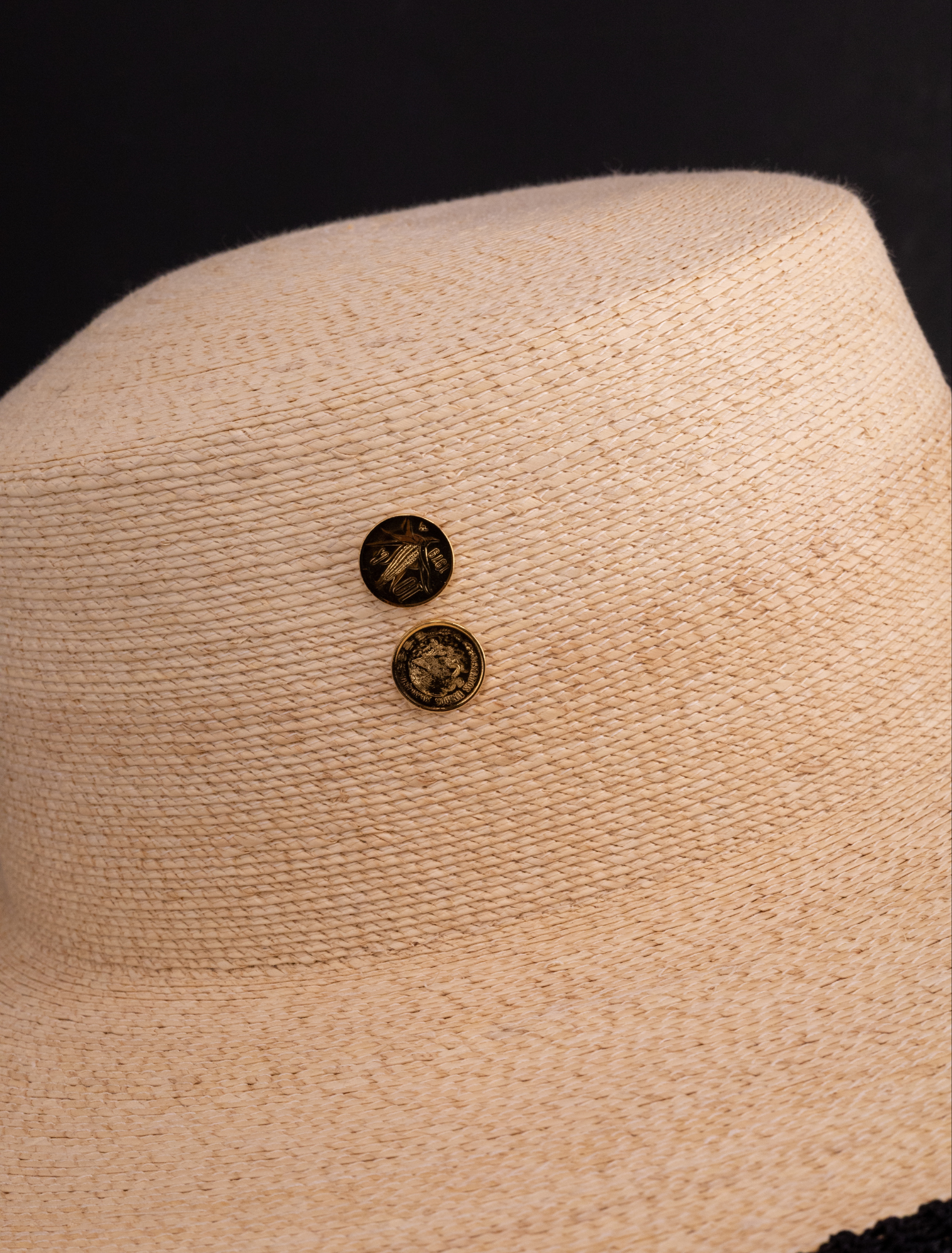 CORDOBÉS IRIS - Daniela Bustos Maya